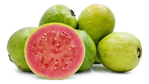 goiabapaluma