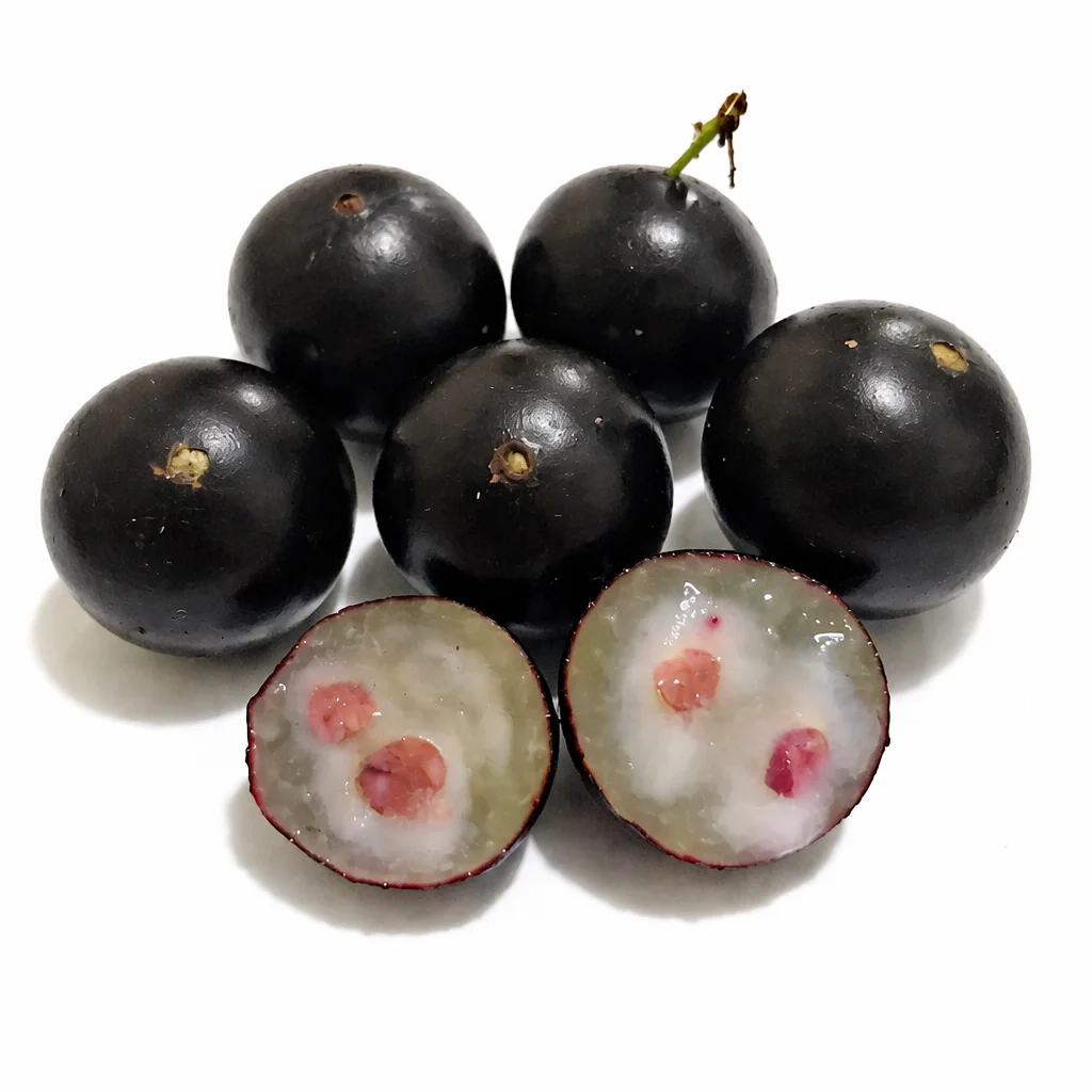 jabuticabasabara