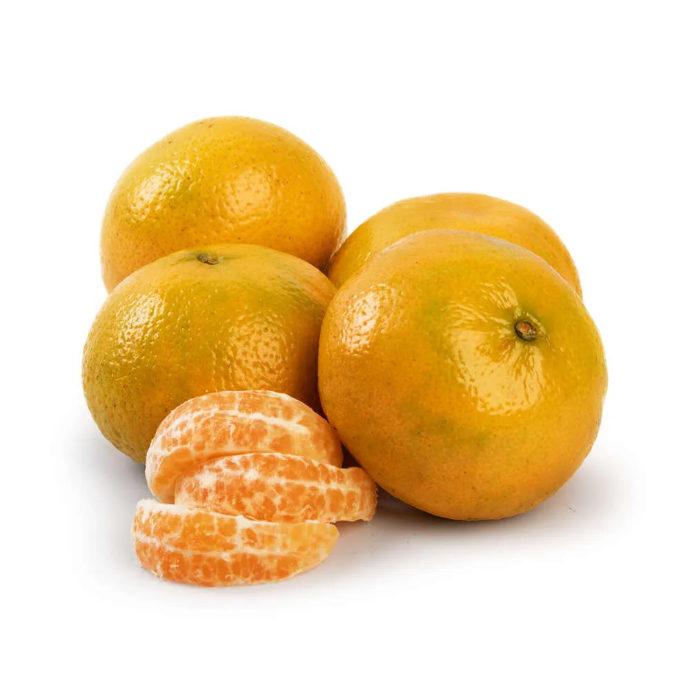 tangerinamurcot
