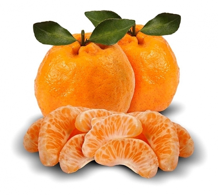 tangerinaponkan